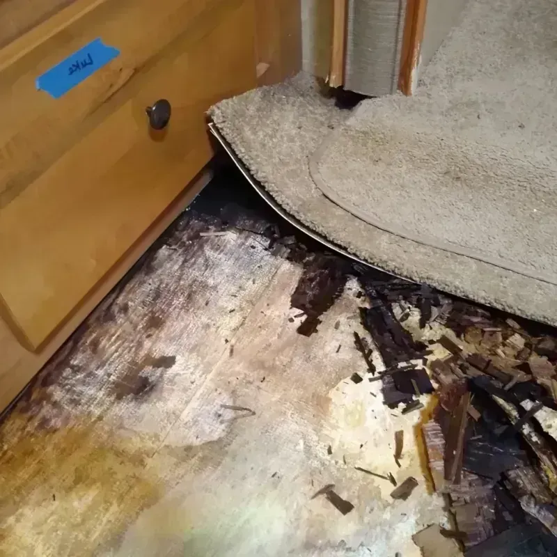 Wood Floor Water Damage in Rogers Park, IL